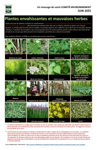 2025 06 c. env. plantes envahissantes