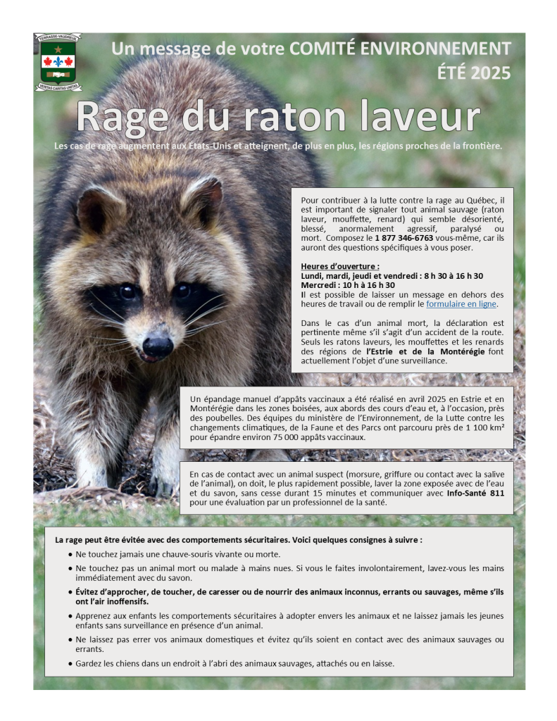 2025 été rage du raton laveur