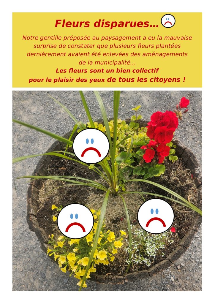 fleurs volées