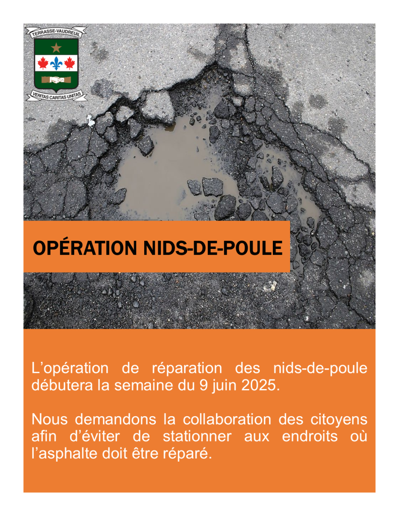 réparation nids de poule