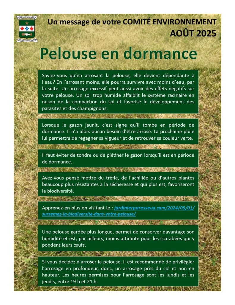 2025 08 c. env. pelouse en dormance