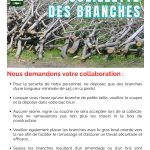 cueillette des branches