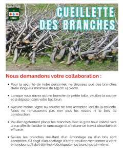 cueillette des branches