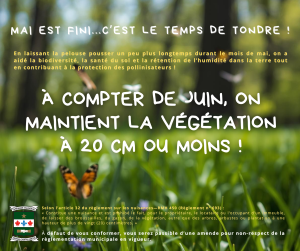 mai est fini... c'est le temps de tondre !