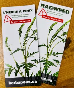 img 4323